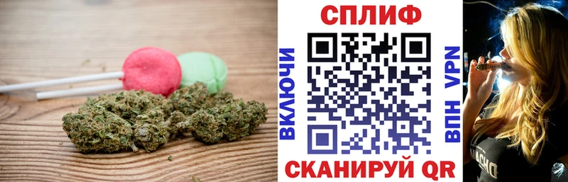 Cannafood конопля  Светлоград 
