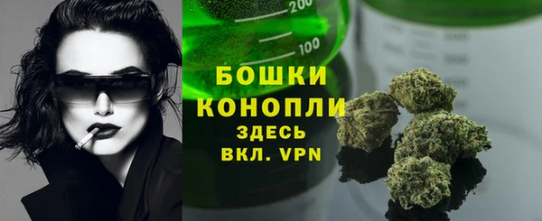 ГАЛЛЮЦИНОГЕННЫЕ ГРИБЫ Балахна