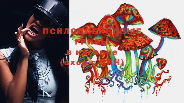 мескалин Баксан