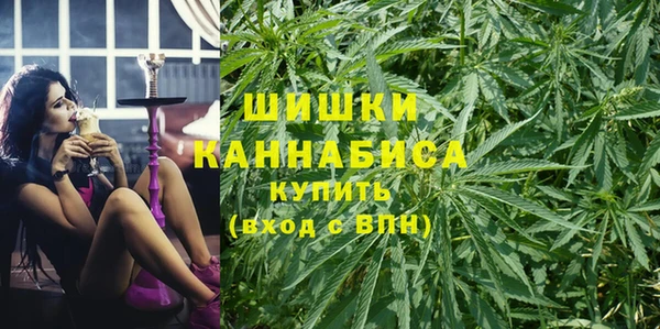 ГАЛЛЮЦИНОГЕННЫЕ ГРИБЫ Балахна