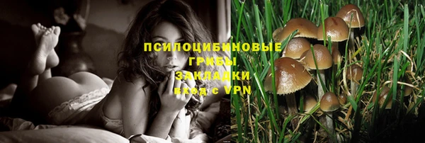 мескалин Баксан