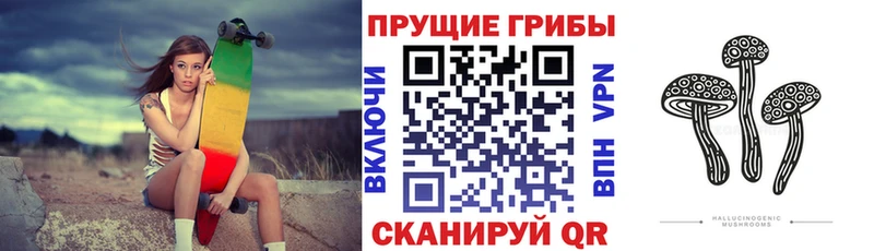 kraken зеркало  это какой сайт  Псилоцибиновые грибы мицелий  Светлоград 